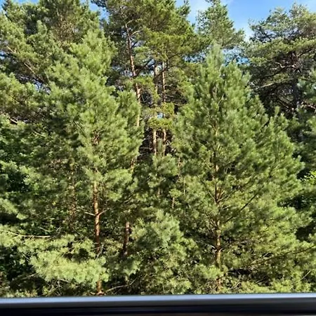 Apartament Sosnowy Zakatek Jurata